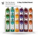 3 Day Guided Reset